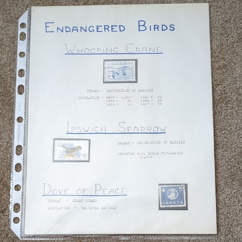 Endangered Birds Stamp Collection Sheet